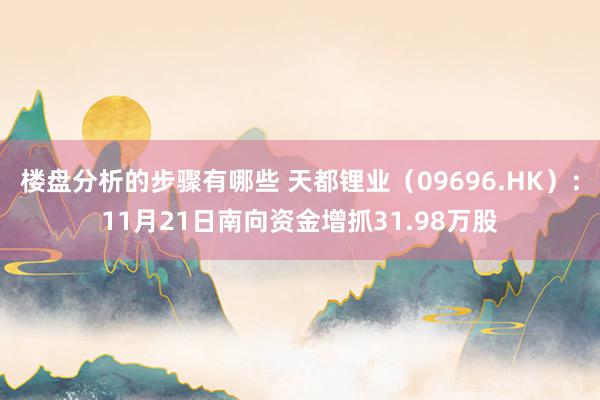 楼盘分析的步骤有哪些 天都锂业（09696.HK）：11月21日南向资金增抓31.98万股