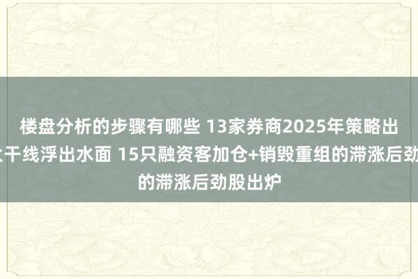 楼盘分析的步骤有哪些 13家券商2025年策略出炉 两大干线浮出水面 15只融资客加仓+销毁重组的滞涨后劲股出炉