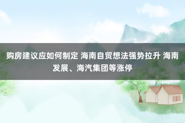 购房建议应如何制定 海南自贸想法强势拉升 海南发展、海汽集团等涨停