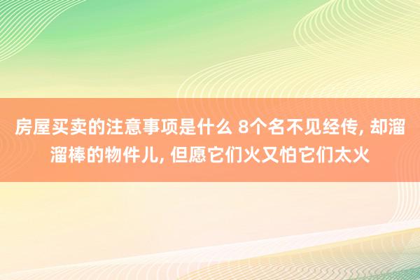 房屋买卖的注意事项是什么 8个名不见经传, 却溜溜棒的物件儿, 但愿它们火又怕它们太火