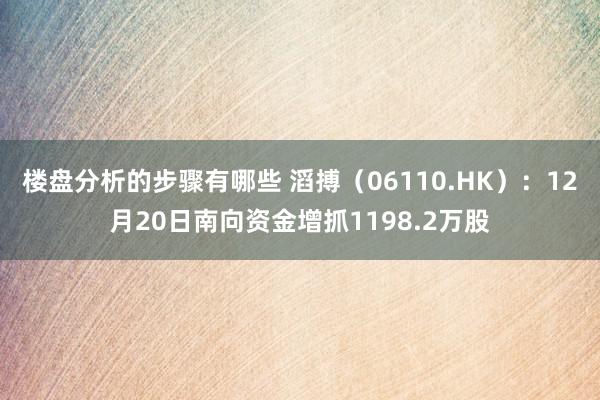 楼盘分析的步骤有哪些 滔搏（06110.HK）：12月20日南向资金增抓1198.2万股