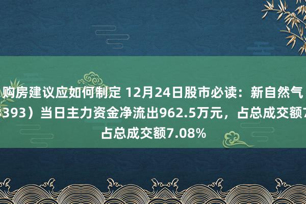 购房建议应如何制定 12月24日股市必读：新自然气（603393）当日主力资金净流出962.5万元，占总成交额7.08%