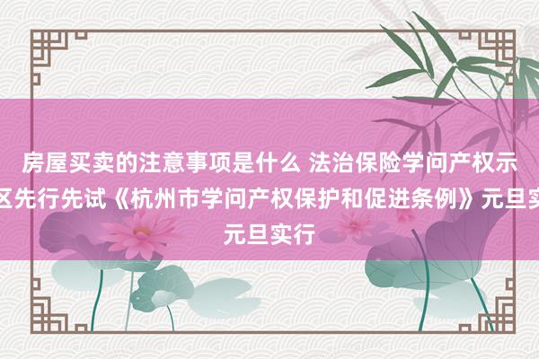 房屋买卖的注意事项是什么 法治保险学问产权示范区先行先试《杭州市学问产权保护和促进条例》元旦实行