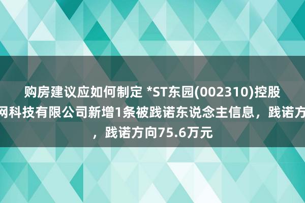 购房建议应如何制定 *ST东园(002310)控股的北京苗联网科技有限公司新增1条被践诺东说念主信息，践诺方向75.6万元