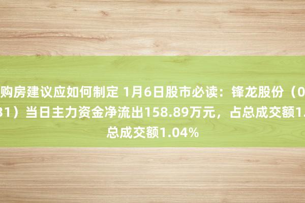 购房建议应如何制定 1月6日股市必读：锋龙股份（002931）当日主力资金净流出158.89万元，占总成交额1.04%