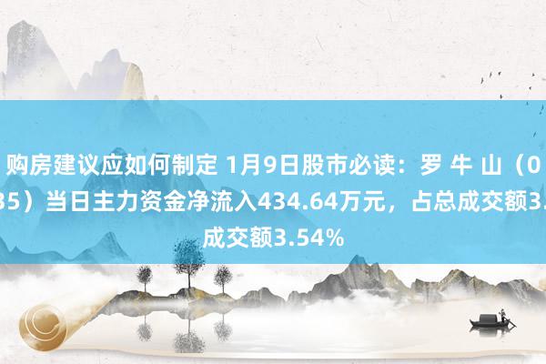 购房建议应如何制定 1月9日股市必读：罗 牛 山（000735）当日主力资金净流入434.64万元，占总成交额3.54%