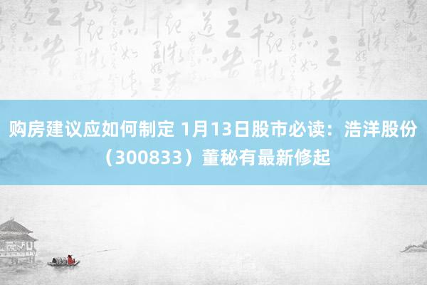 购房建议应如何制定 1月13日股市必读：浩洋股份（300833）董秘有最新修起