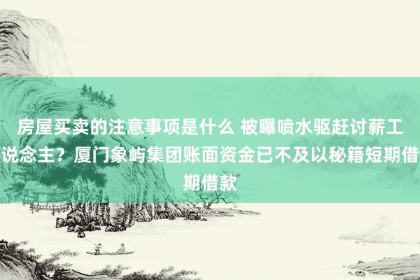 房屋买卖的注意事项是什么 被曝喷水驱赶讨薪工东说念主？厦门象屿集团账面资金已不及以秘籍短期借款