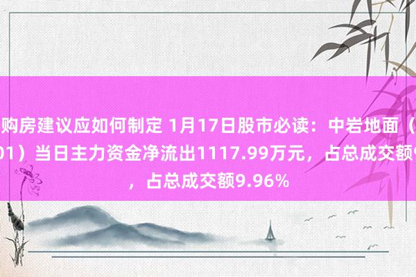 购房建议应如何制定 1月17日股市必读：中岩地面（003001）当日主力资金净流出1117.99万元，占总成交额9.96%