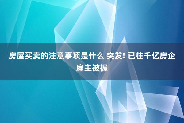 房屋买卖的注意事项是什么 突发! 已往千亿房企雇主被握