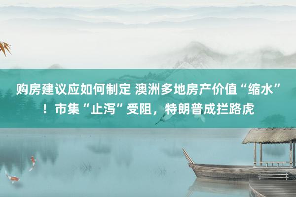 购房建议应如何制定 澳洲多地房产价值“缩水”！市集“止泻”受阻，特朗普成拦路虎