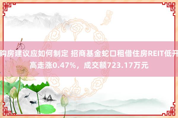 购房建议应如何制定 招商基金蛇口租借住房REIT低开高走涨0.47%，成交额723.17万元