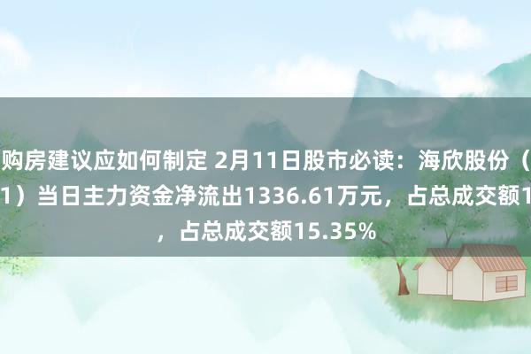 购房建议应如何制定 2月11日股市必读：海欣股份（600851）当日主力资金净流出1336.61万元，占总成交额15.35%