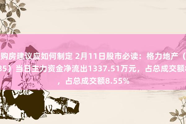 购房建议应如何制定 2月11日股市必读：格力地产（600185）当日主力资金净流出1337.51万元，占总成交额8.55%