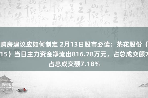 购房建议应如何制定 2月13日股市必读：茶花股份（603615）当日主力资金净流出816.78万元，占总成交额7.18%