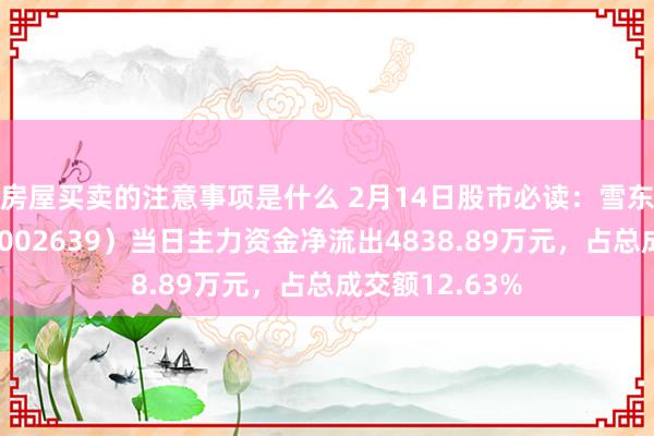 房屋买卖的注意事项是什么 2月14日股市必读：雪东说念主股份（002639）当日主力资金净流出4838.89万元，占总成交额12.63%