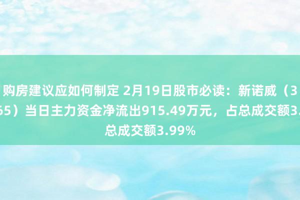 购房建议应如何制定 2月19日股市必读：新诺威（300765）当日主力资金净流出915.49万元，占总成交额3.99%