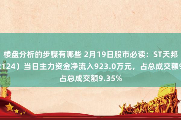 楼盘分析的步骤有哪些 2月19日股市必读：ST天邦（002124）当日主力资金净流入923.0万元，占总成交额9.35%