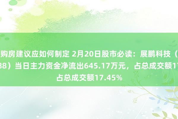 购房建议应如何制定 2月20日股市必读：展鹏科技（603488）当日主力资金净流出645.17万元，占总成交额17.45%