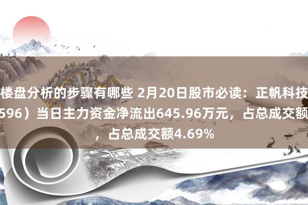 楼盘分析的步骤有哪些 2月20日股市必读：正帆科技（688596）当日主力资金净流出645.96万元，占总成交额4.69%