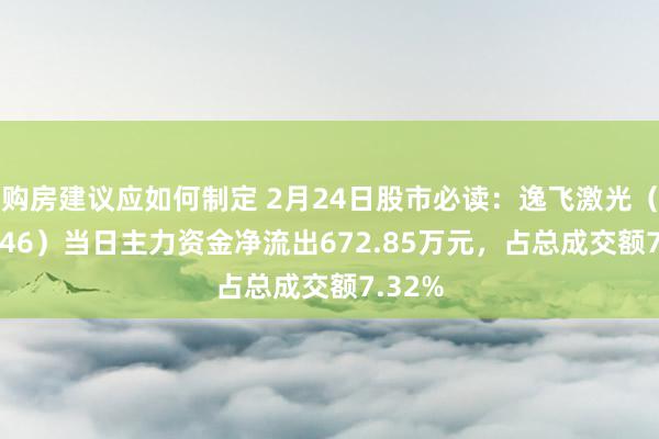 购房建议应如何制定 2月24日股市必读：逸飞激光（688646）当日主力资金净流出672.85万元，占总成交额7.32%