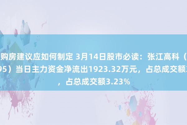 购房建议应如何制定 3月14日股市必读：张江高科（600895）当日主力资金净流出1923.32万元，占总成交额3.23%